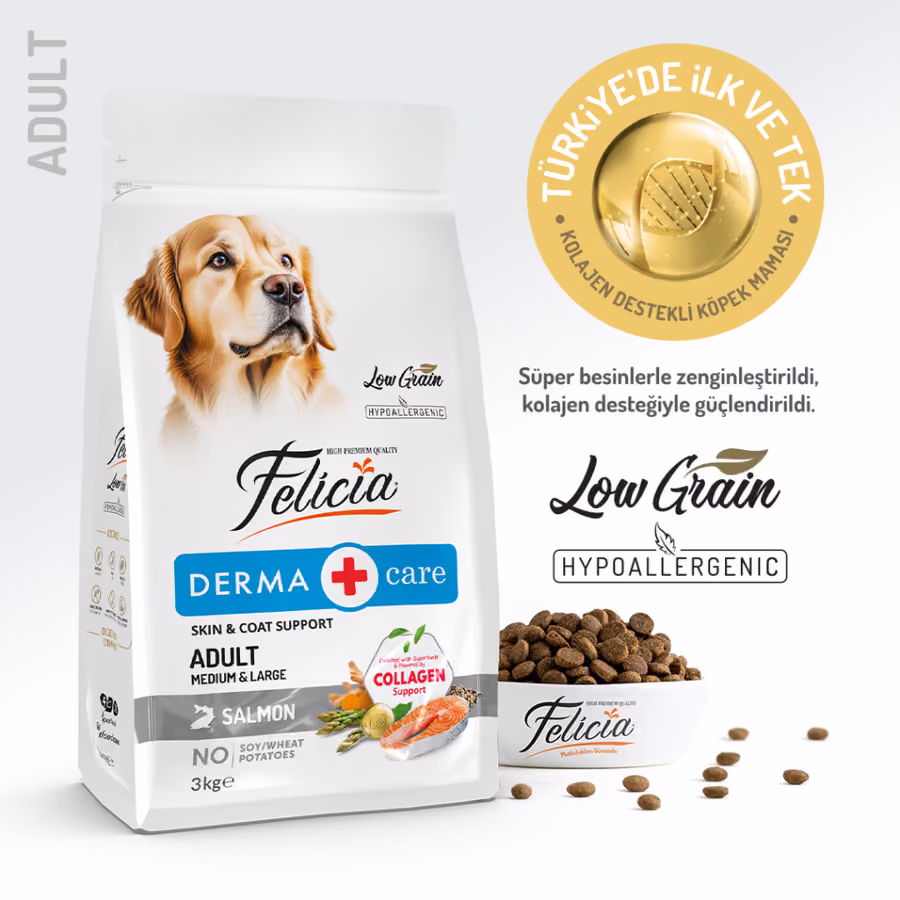 Felicia Derma Care Somonlu Orta ve Büyük Irk Yetişkin Köpek Maması