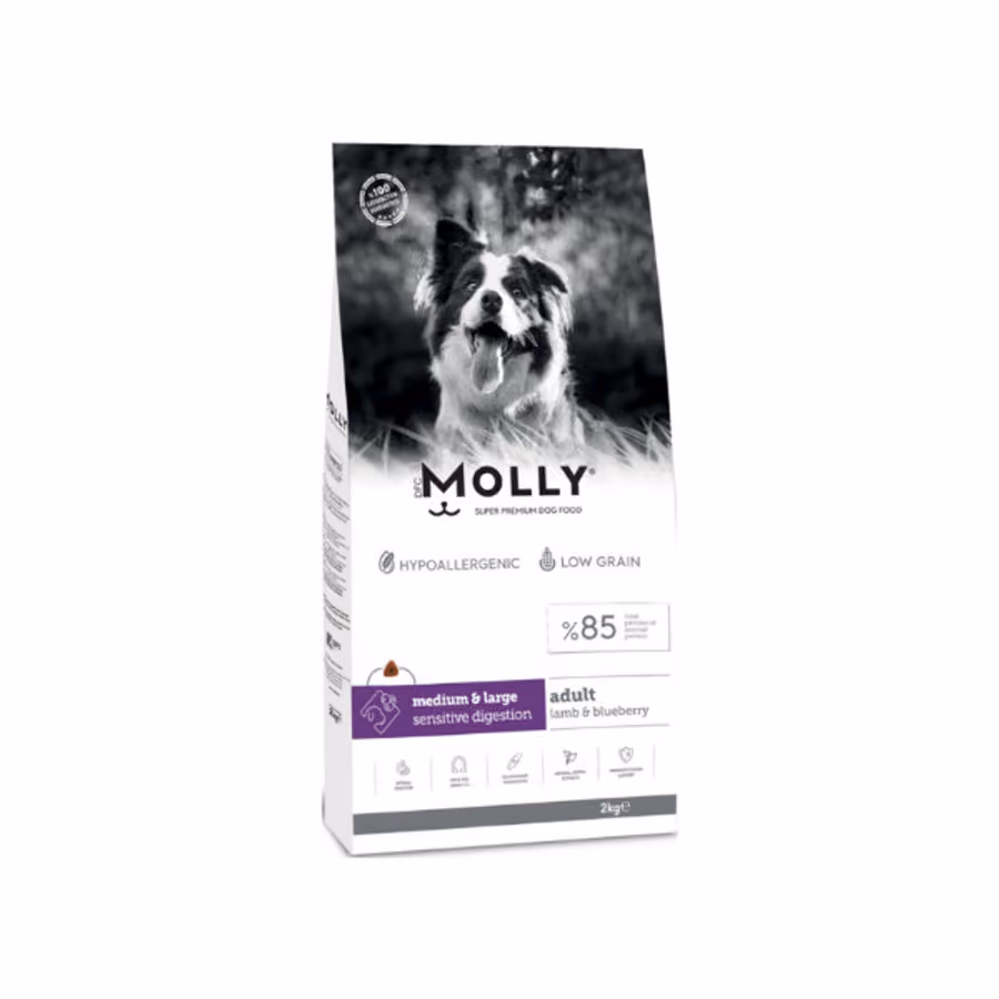 Molly Hipoalerjenik Kuzu Etli ve Yaban Mersinli Büyük Irk Düşük Tahıllı Yetişkin Köpek Maması