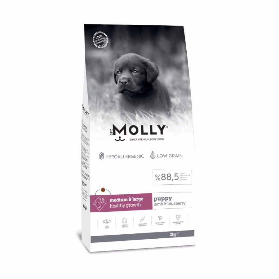 Molly Puppy Hipoalerjenik Kuzu Etli ve Yaban Mersinli Büyük Irk Düşük Tahıllı Köpek Maması