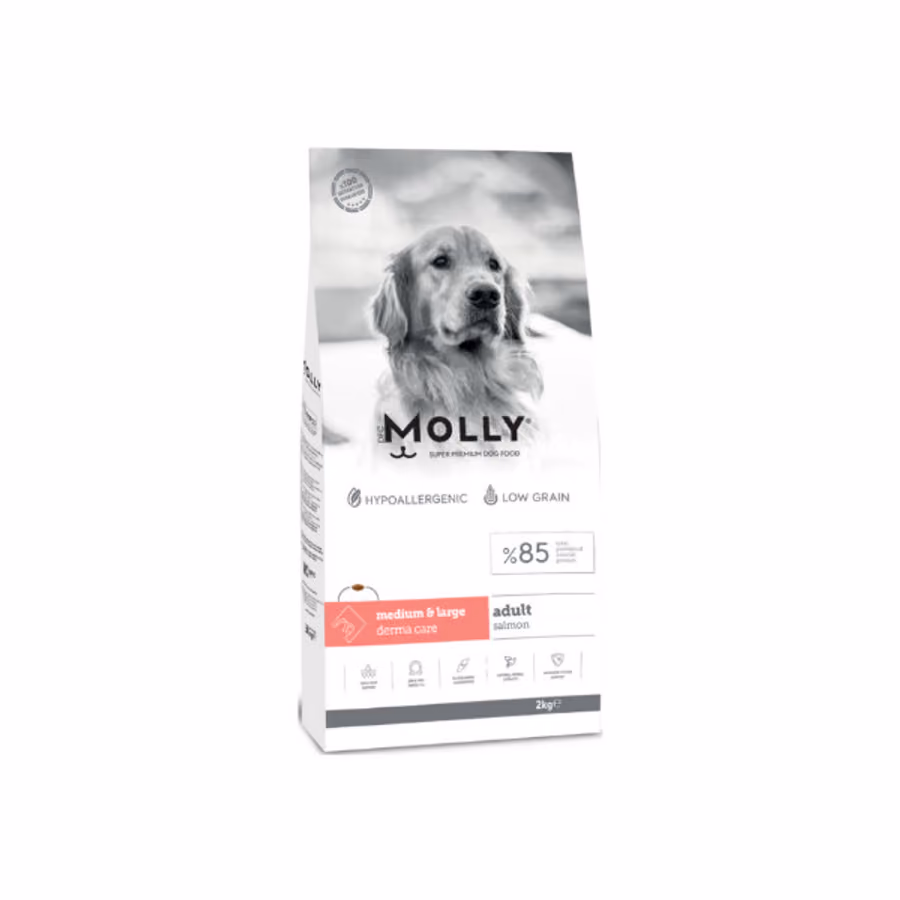 Molly Hipoalerjenik Derma Care Somonlu Büyük Irk Yetişkin Köpek Maması