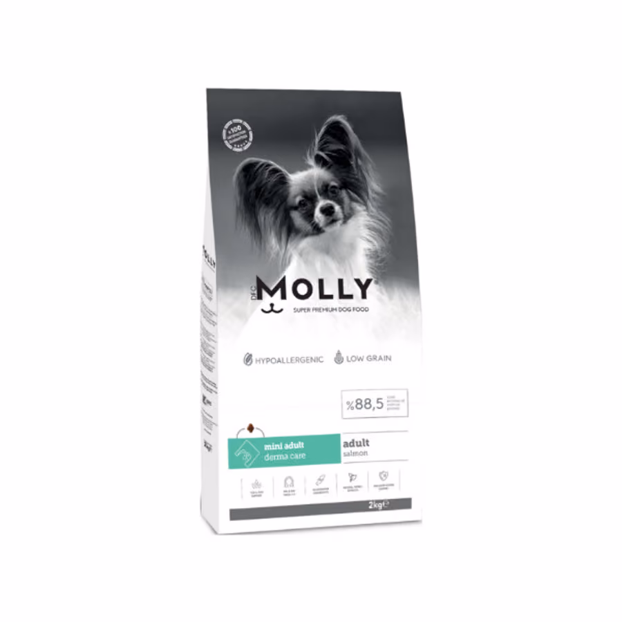 Molly Hipoalerjenik Somonlu Küçük Irk Yetişkin Köpek Maması