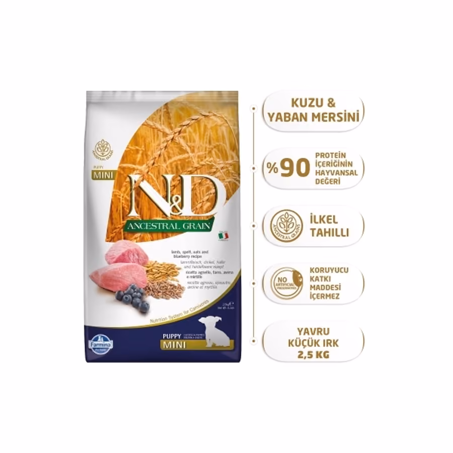 N&D Ancestral Grain Mini Puppy Kuzulu ve Yaban Mersinli Ata Tahıllı Köpek Maması