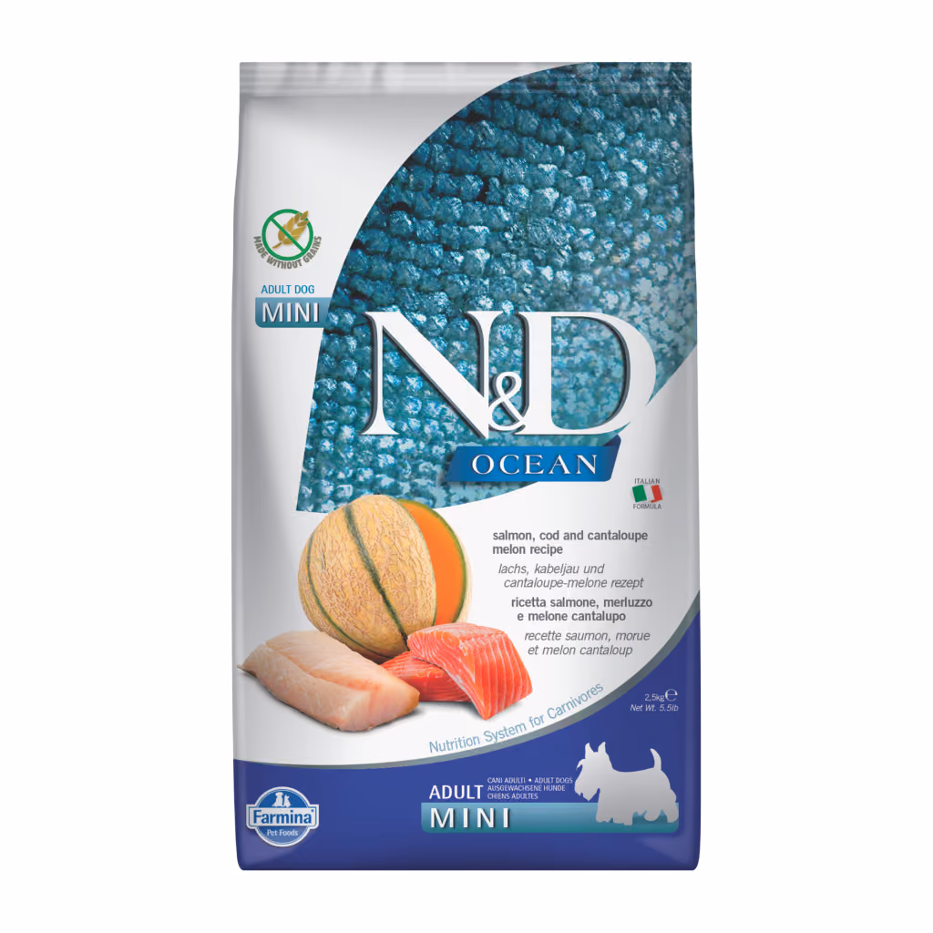 N&D Ocean Mini Somonlu Morina Balıklı ve Kavunlu Tahılsız Küçük Irk Yetişkin Köpek Maması