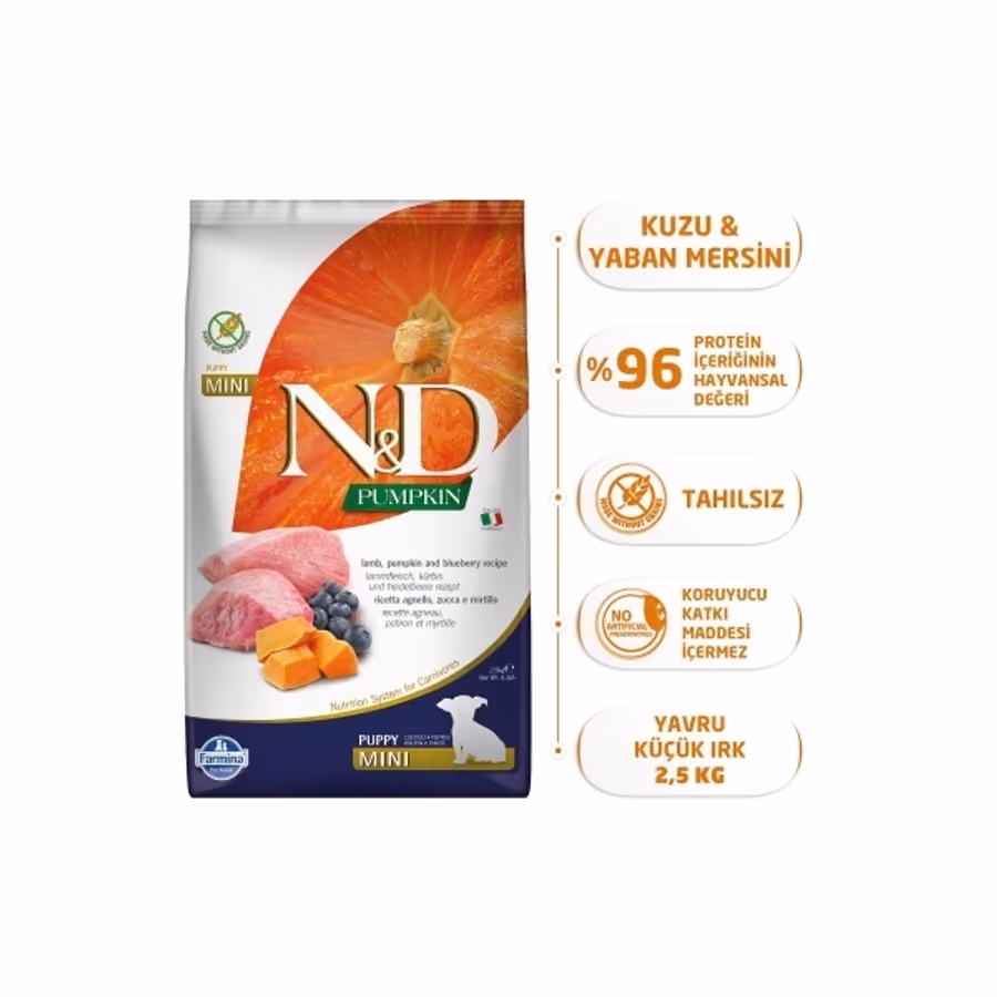 N&D Pumpkin Mini Puppy Bal Kabaklı Kuzulu ve Yaban Mersinli Tahılsız Köpek Maması