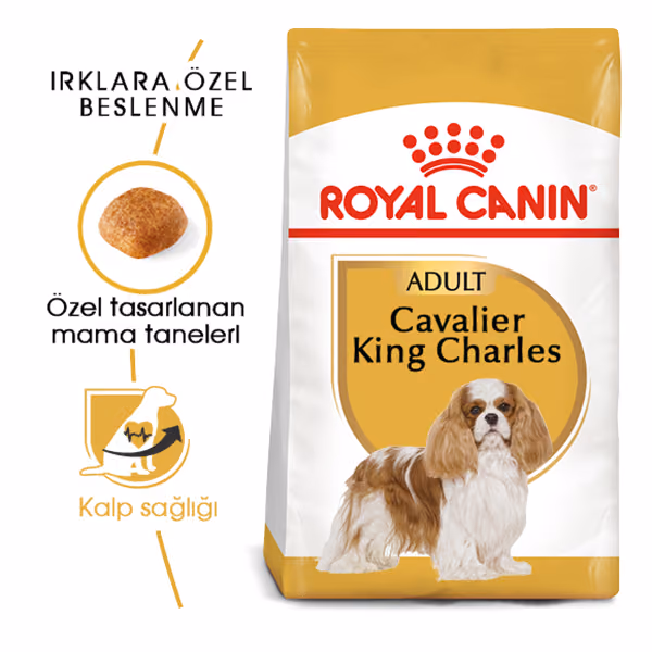Royal Canin Cavalier King Charles Adult Yetişkin Köpek Maması