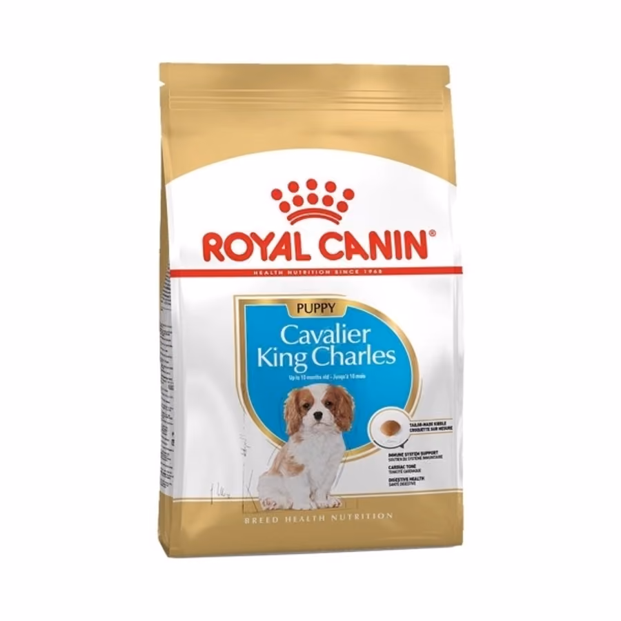 Royal Canin Cavalier King Charles Puppy Yavru Köpek Maması