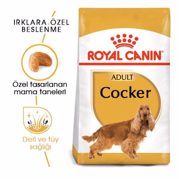 Royal Canin Cocker Spaniel Adult Yetişkin Köpek Maması