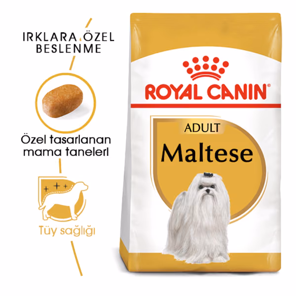 Royal Canin Maltese Adult Yetişkin Köpek Maması