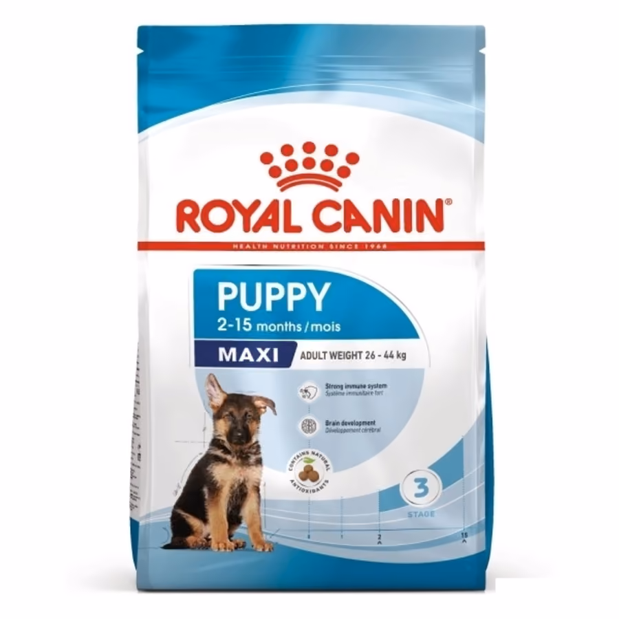 Royal Canin Maxi Puppy Büyük Irk Yavru Köpek Maması
