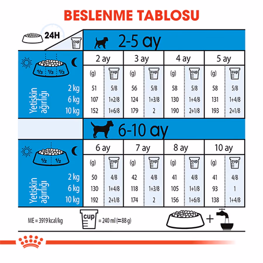 Royal Canin Mini Indoor Puppy Küçük Irk Yavru Köpek Maması